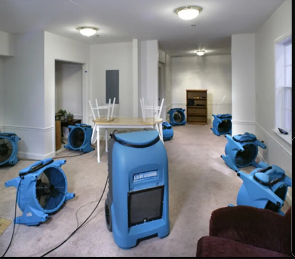 Air movers and dehumidifier setup for Water Extraction & Removal in Braidwood