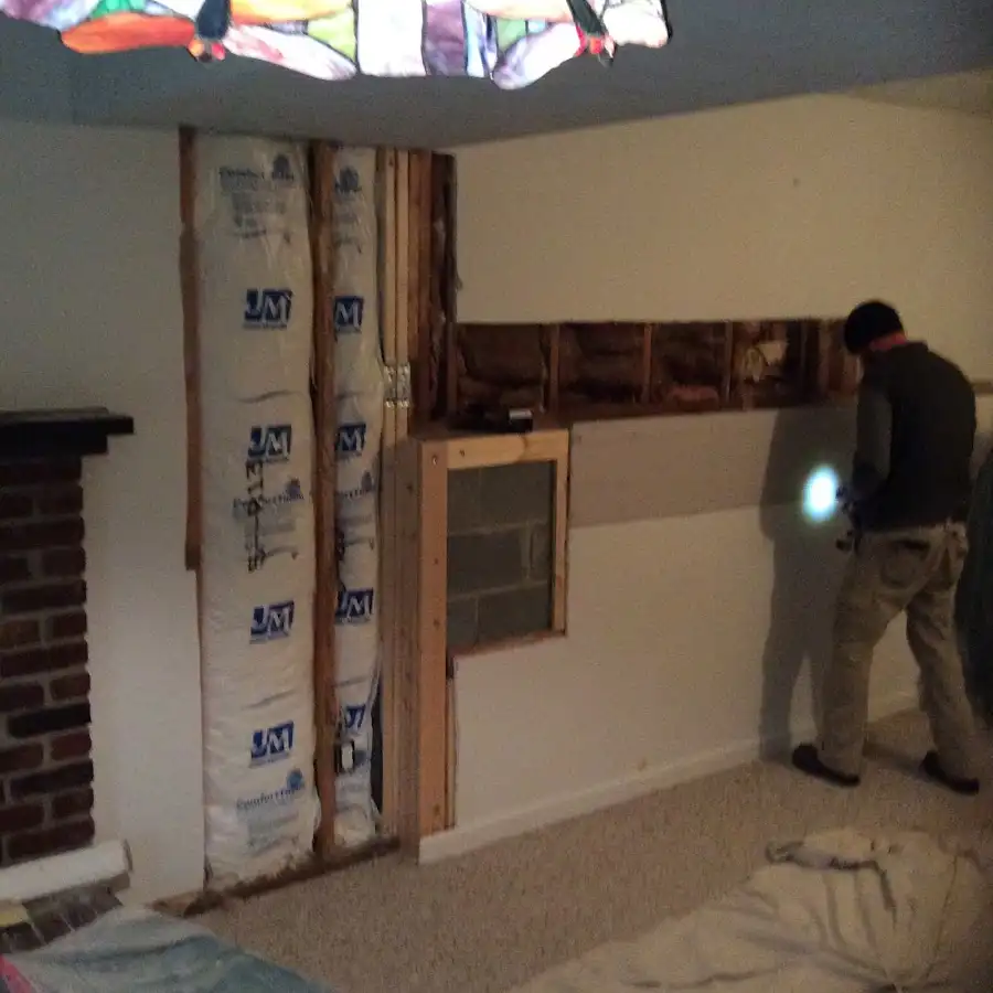 Restoration technician inspecting water damage in Braidwood